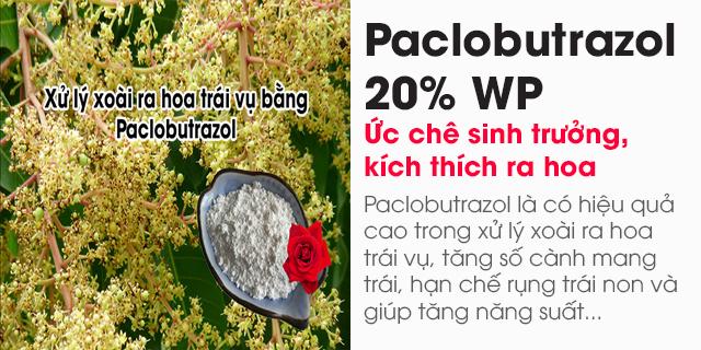 Paclobutrazol 20% WP (Ức chế sinh trưởng, kích thích ra hoa)